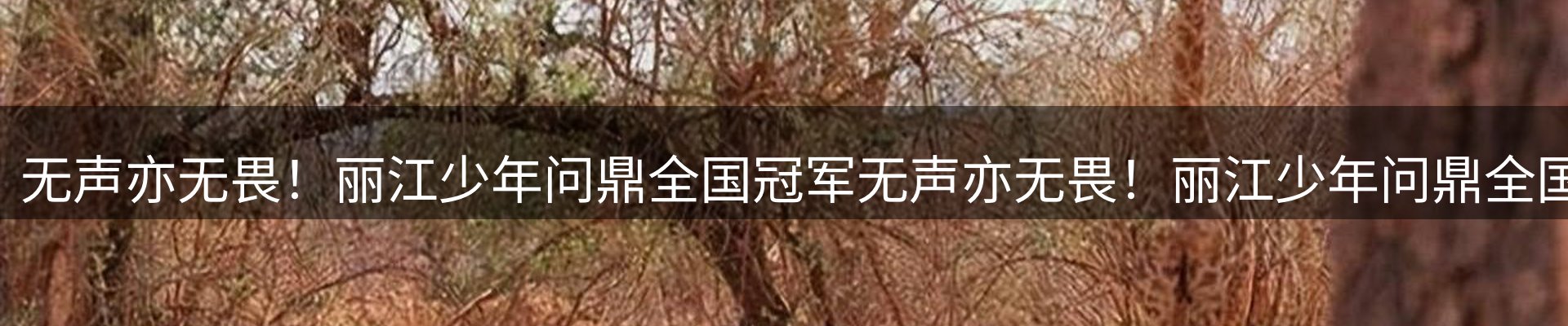 行业资讯